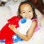 pillowpet6