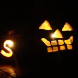 pumpkin3