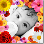 flower_effect