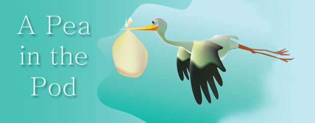 peainthepod
